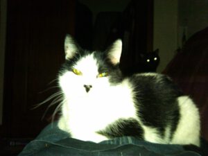 Felix with sister Molly