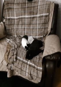 Molly Felix cuddling