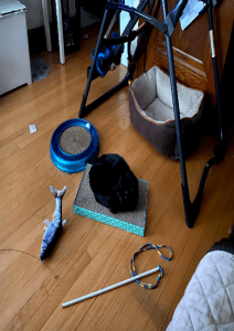laying on scratcher
