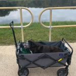 Brewster in his wagon