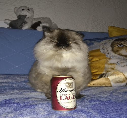 Tabatha